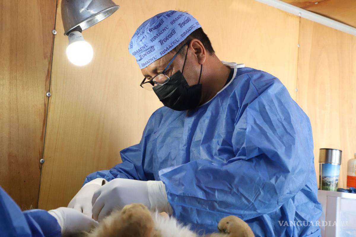 $!El jueves 11 de abril podrás acudir al Centro Comunitario Mirasierra, ubicado en Calle 16, esquina con Calle 19.