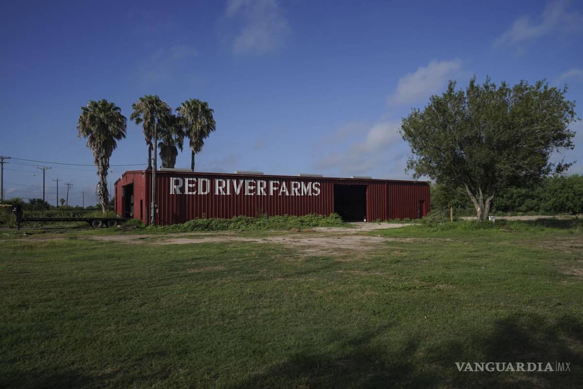 Campos vacíos y trabajadores asustados: el panorama en la frontera de México y Texas