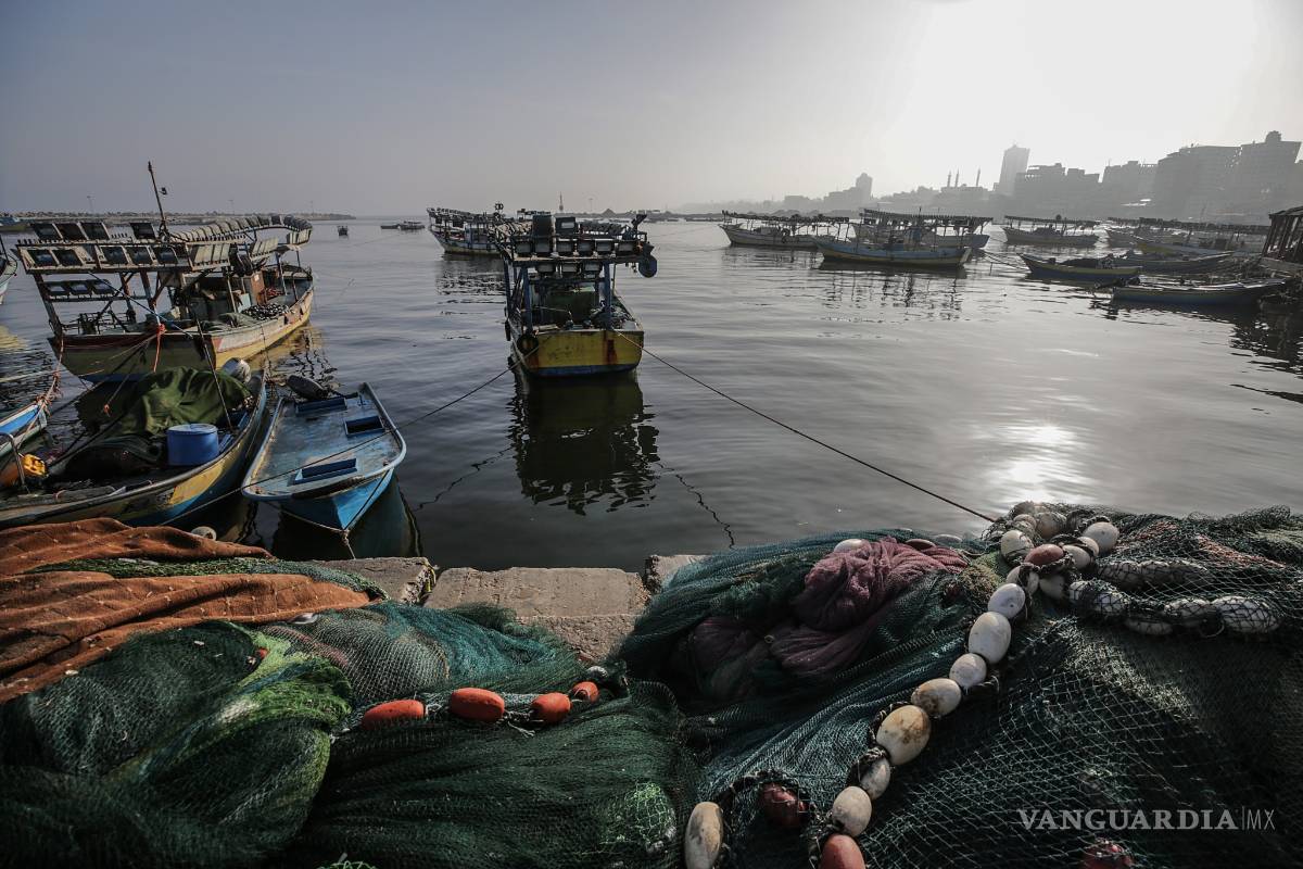 Amenaza crisis climática a especies en peligro
