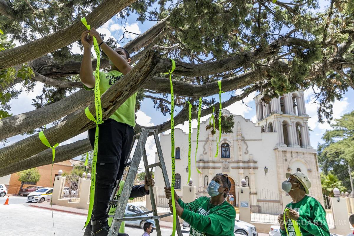 $!Las madres realizaron una instalación con las fotografías de sus personas desaparecidas.