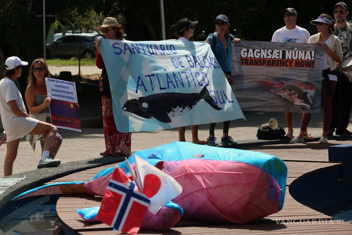 Revés para Japón, caza comercial de ballenas seguirá prohibida