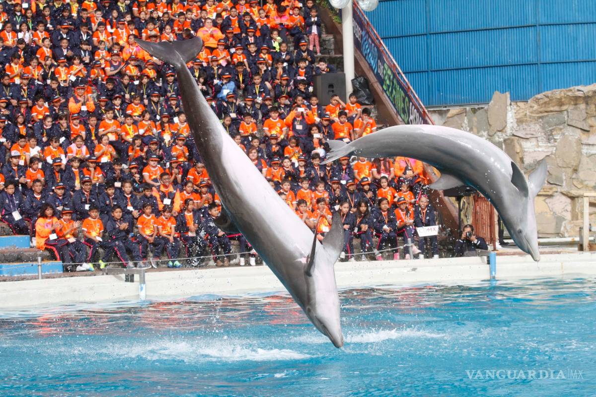 En Oaxtepec se reutilizará 100% del agua: Six Flags