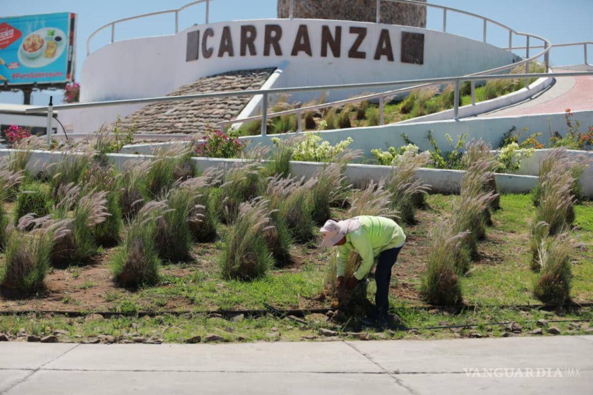 $!Acciones también incluyen limpieza de publicidad y cuidado de áreas verdes.