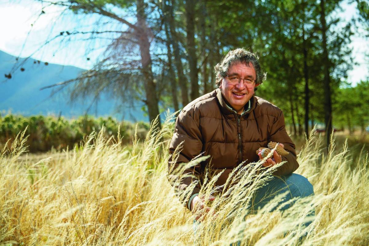 Eladio Cornejo: Desde la trinchera forestal
