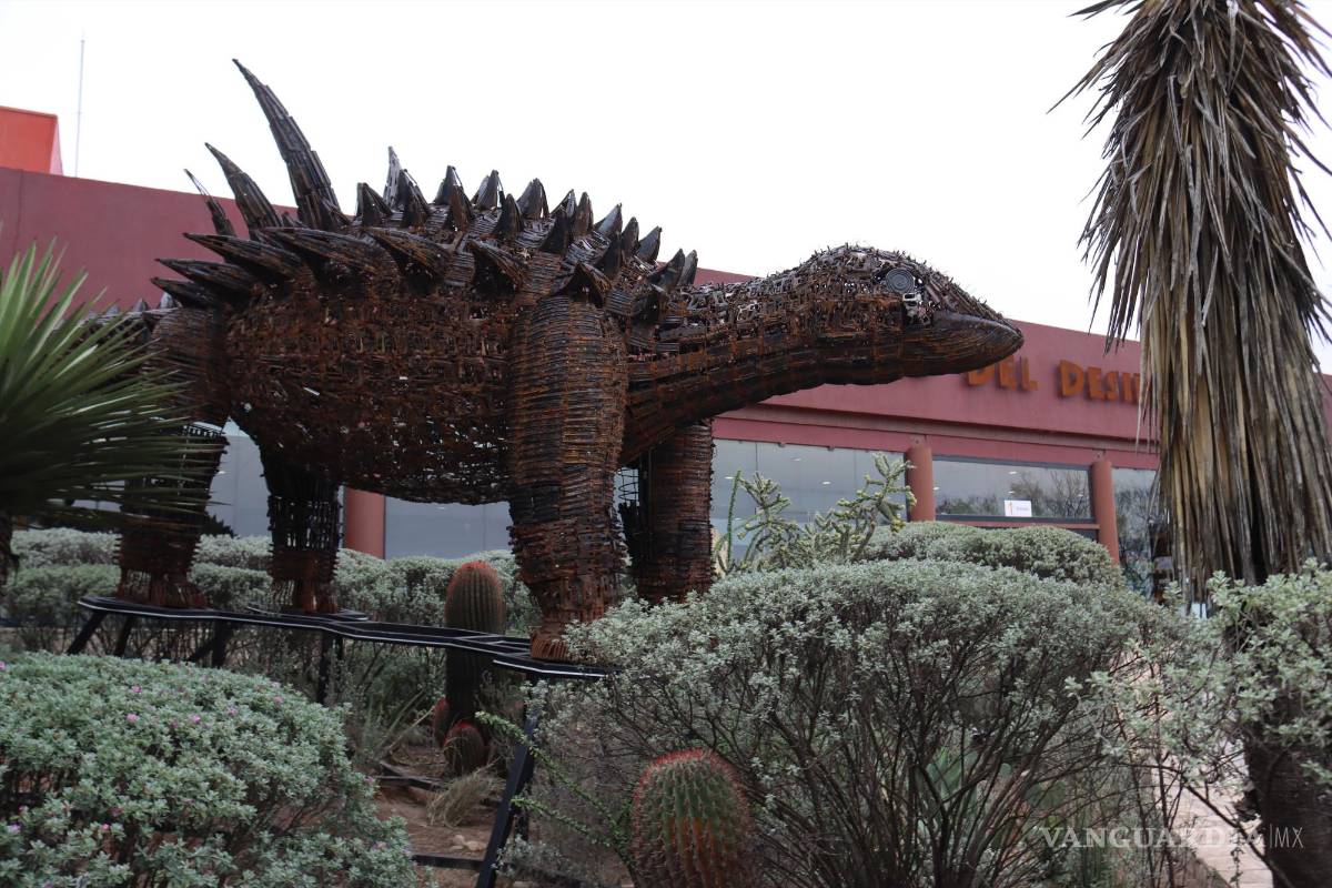 Armas decomisadas se convierten en dinosaurio que da bienvenida en el Museo del Desierto en Saltillo