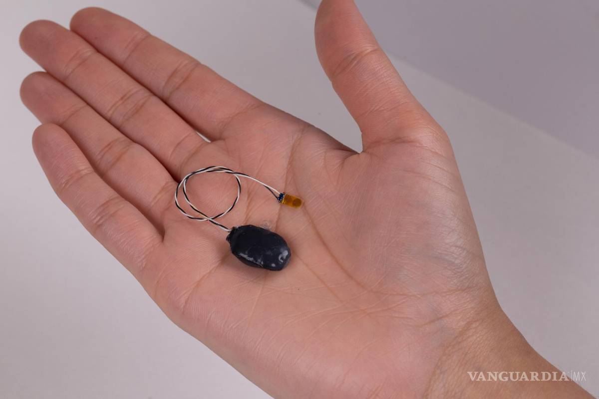 Crean el primer detector inalámbrico que detecta el rechazo de trasplantes y permite salvarlo a tiempo