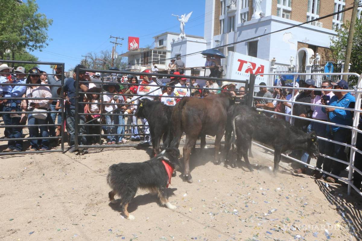 $!El Running Las Vacas se consolida como uno de los principales motores de derrama económica en la región.