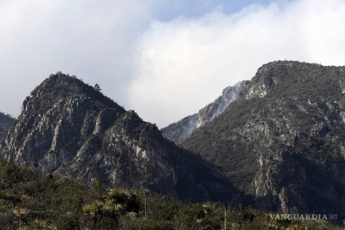 ‘Estoy cansado, pero me impulsa el amor por la naturaleza’; a diario brigadistas arriesgan su vida
