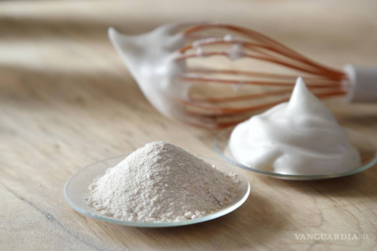 $!Polvo y espuma proteica producidas biotecnológicamente, en cocina. EFE/VTT