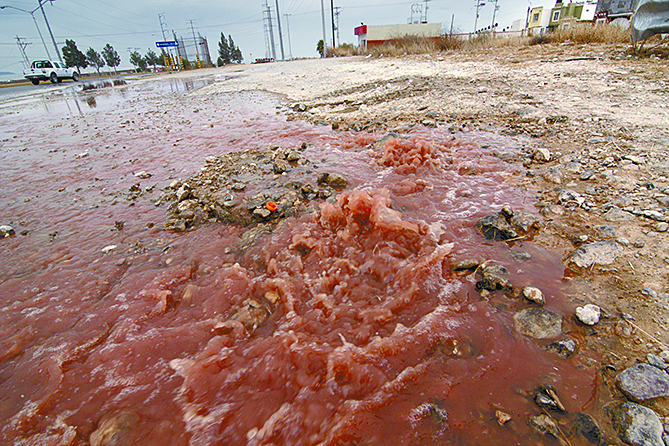 Incumple rastro norma ambiental