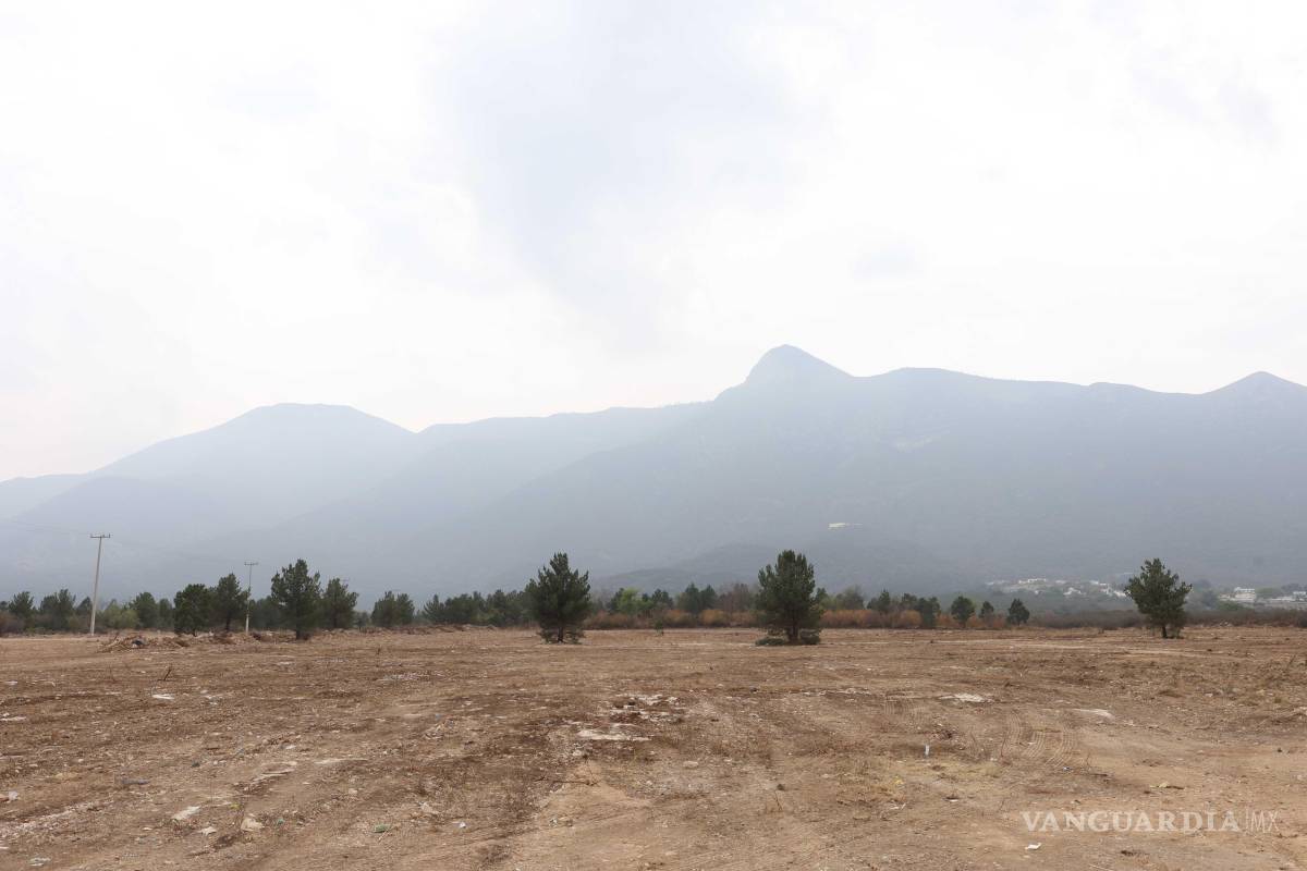 Saltillo: Vecinos piden reforestación tras desmonte sin permiso en Sierra de Zapalinamé (VIDEO)