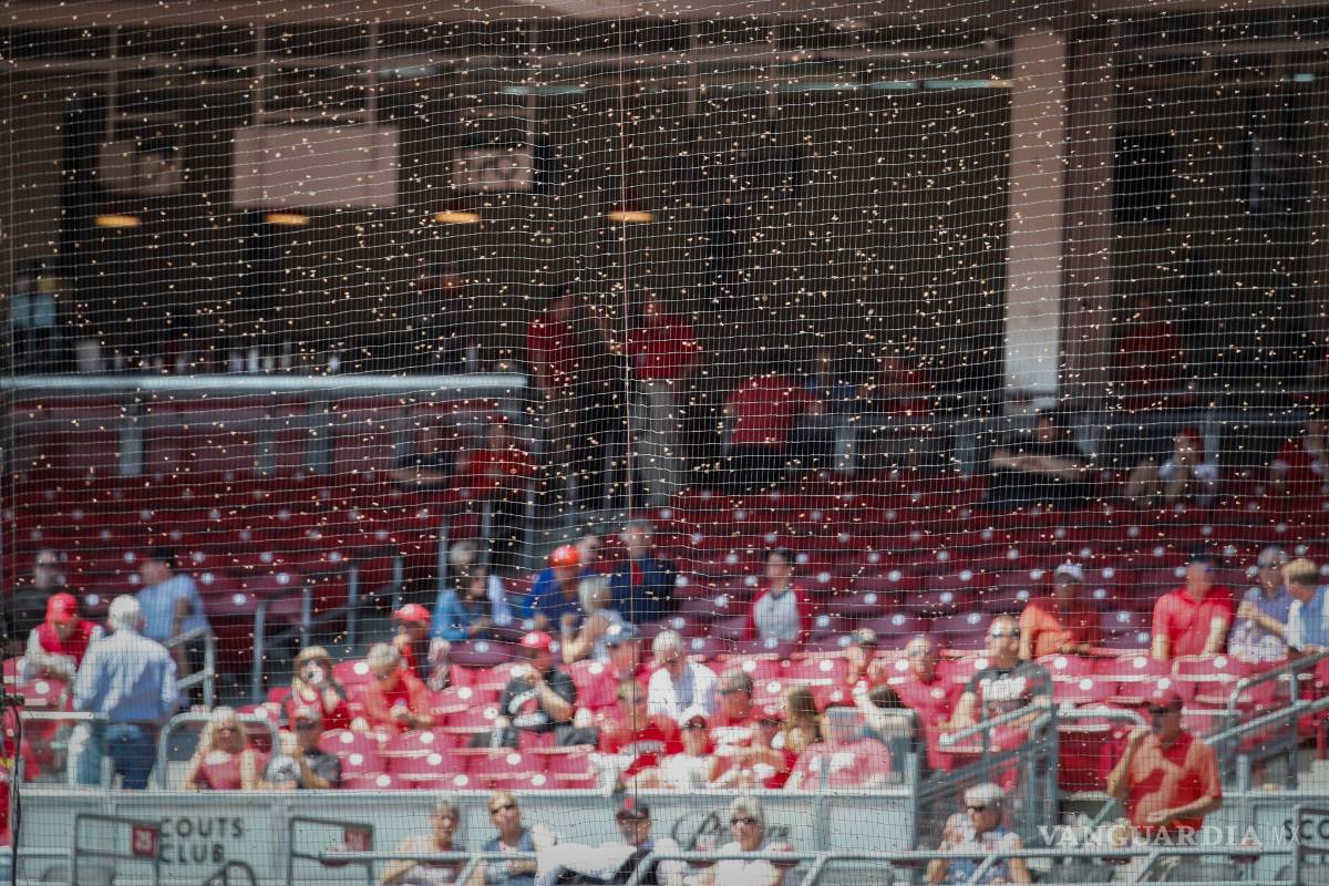 $!En medio de un enjambre de abejas, Cicinnati gana un accidentado partido a San Francisco