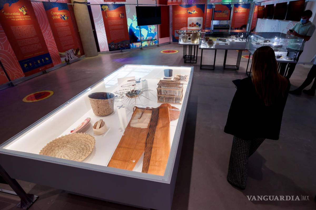 UNAM inaugura su Pabellón de la Biodiversidad con el apoyo de la Fundación Slim