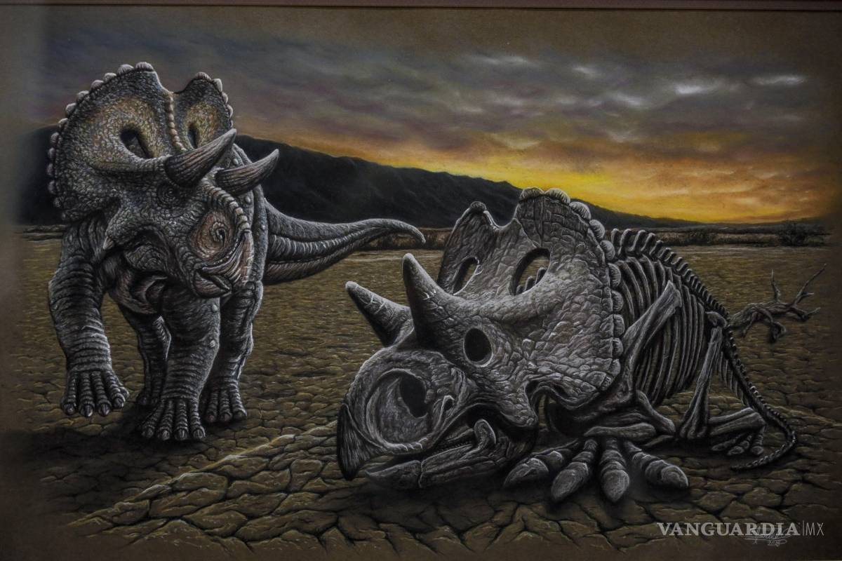 $!Inaugura Punta de Plata su galería ‘Ecos del Trazo’ en Museo Rubén Herrera