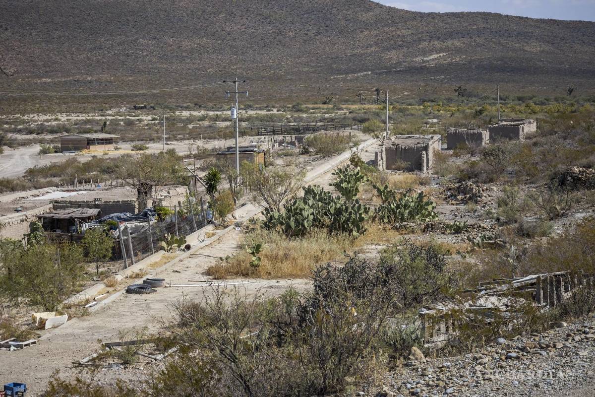 $!En Jalpa así como en ejidos cercanos, se dedican a la talla de lechuguilla para ofrecer diversos productos como peines para lavar los trastes y estropajos.