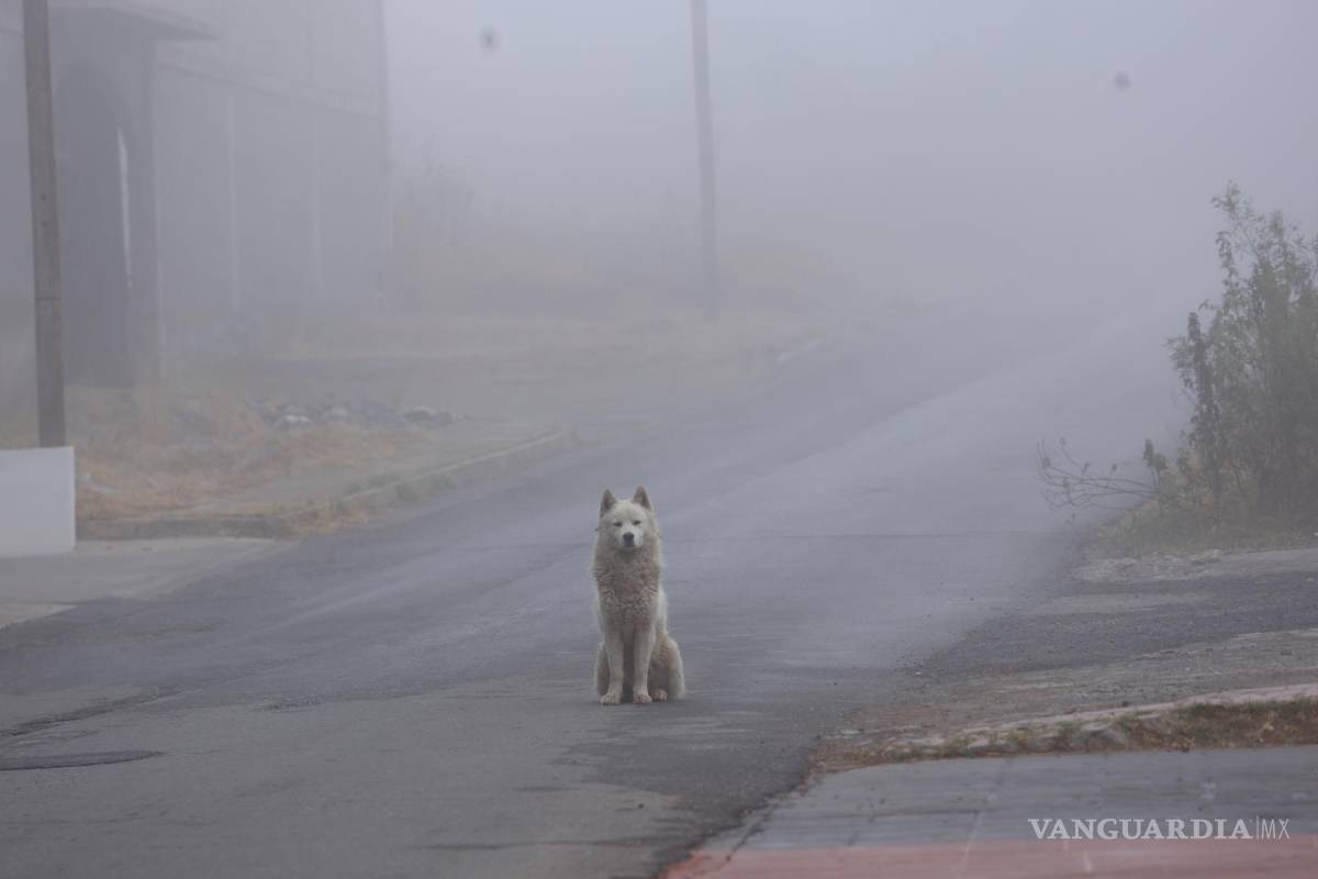 Todo tiempo pasado ya pasó