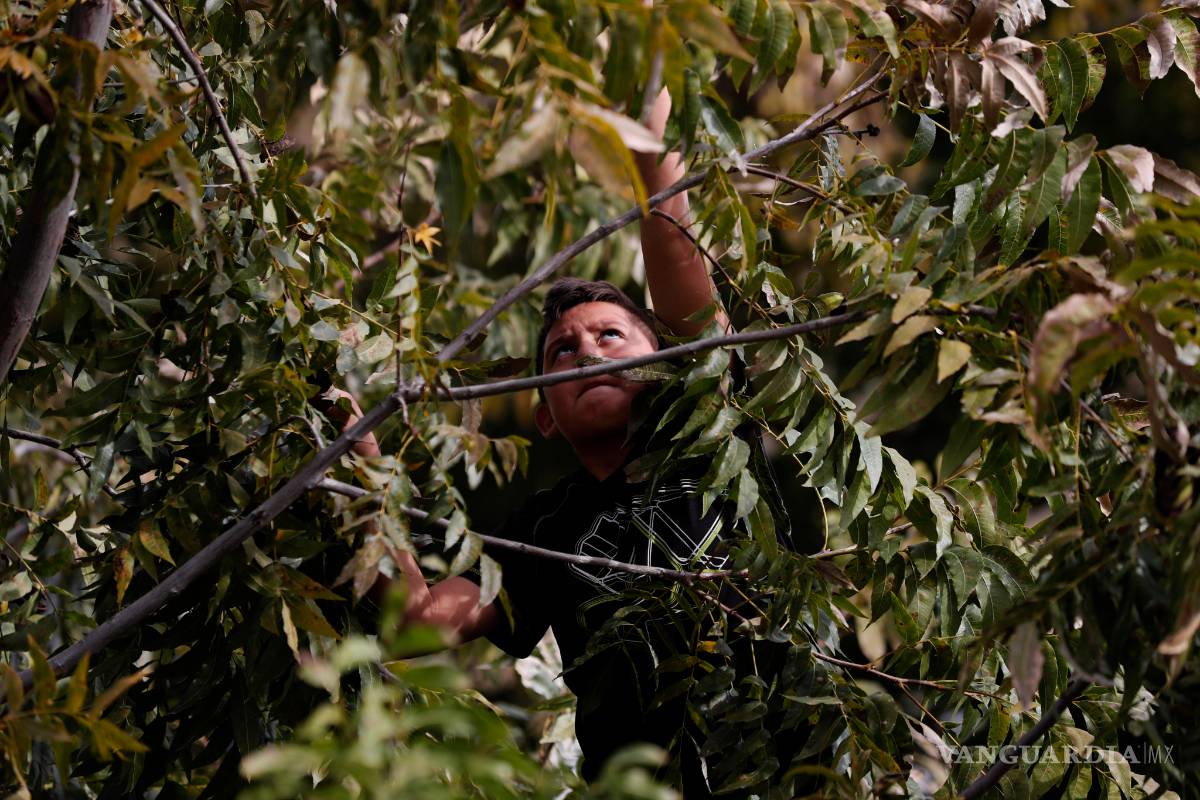 $!Comunidad LeBarón, una zona marcada por la desgracia