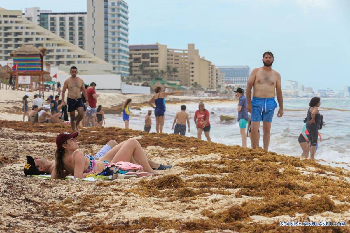 $!Sargazo de Cancún es ocultado en tiraderos clandestinos