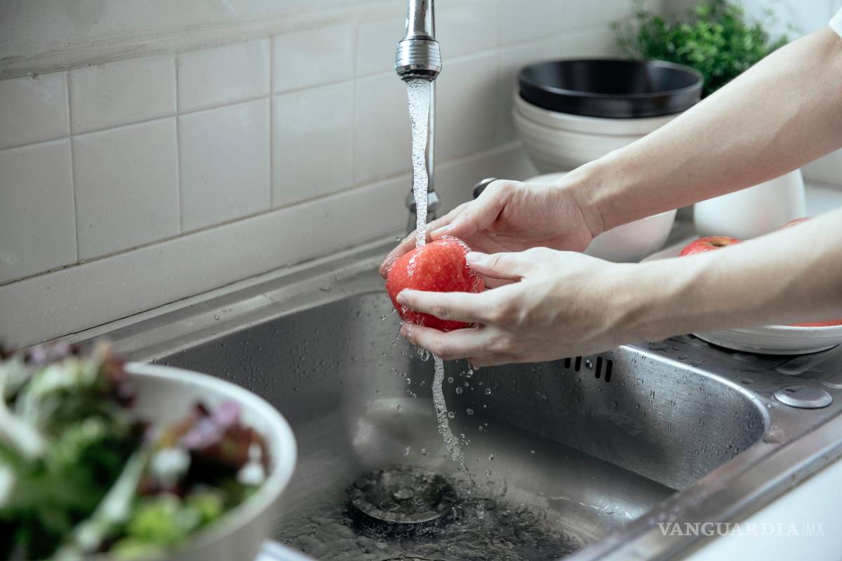 $!Las altas temperaturas favorecen la proliferación de bacterias, virus y parásitos que pueden contaminar los alimentos.