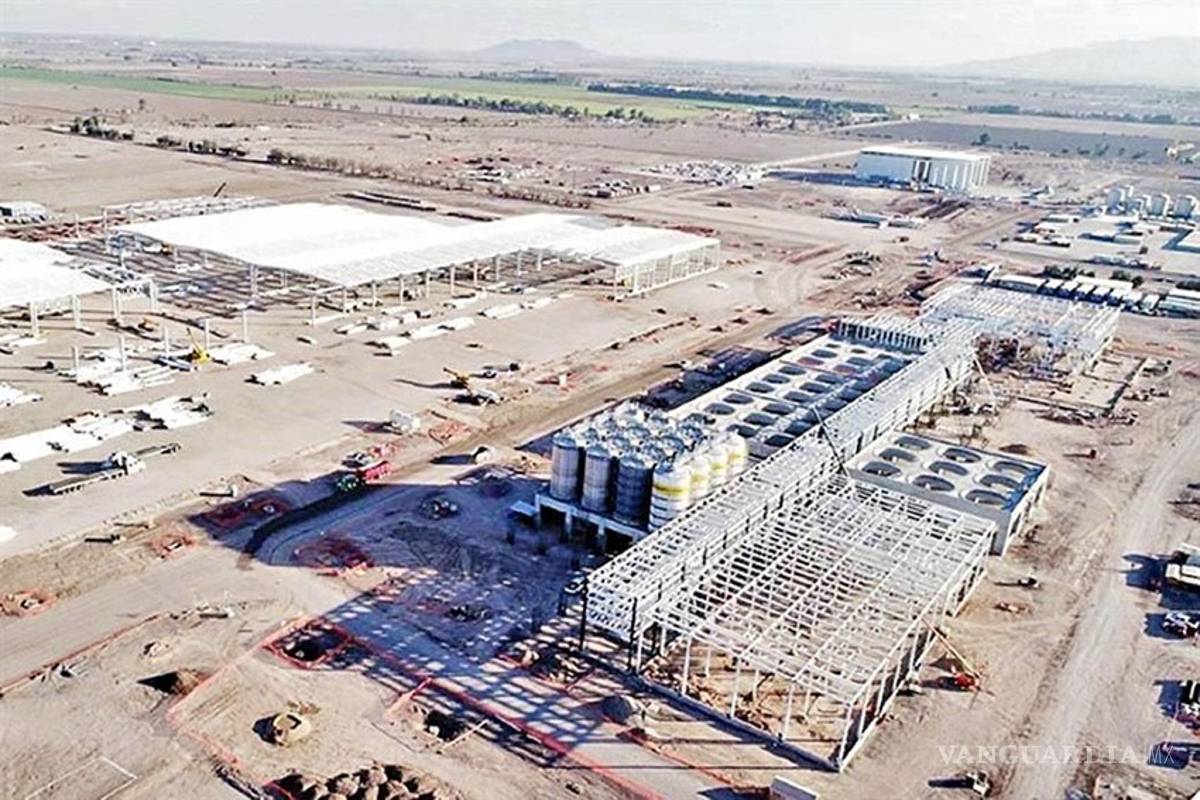 Hubo corrupción en permisos de Constellation Brands, argumenta AMLO