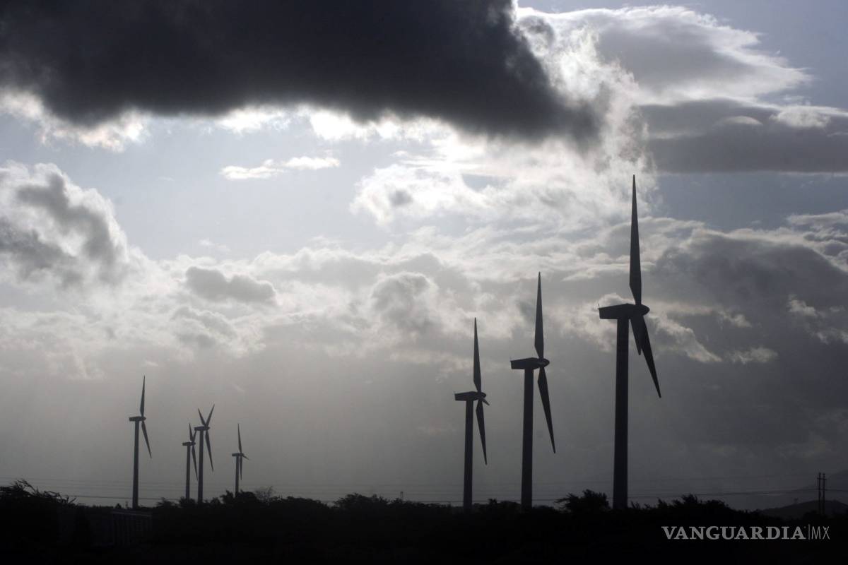 Reforma a Ley Eléctrica sepultará a las energías verdes