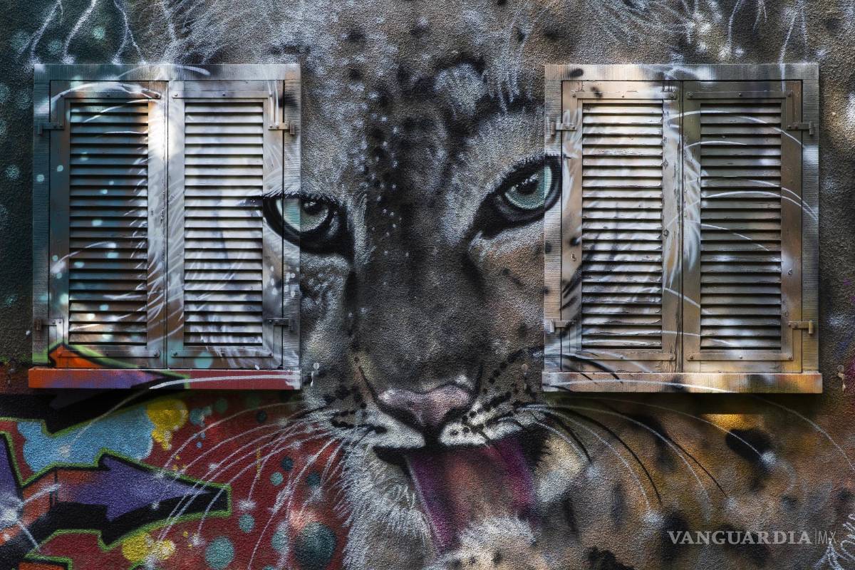 $!Mural en el distrito de Fontenette durante la novena edición de Pump Up The Jam, en Carouge, cerca de Ginebra, Suiza. EFE/EPA/Salvatore Di Nolfi