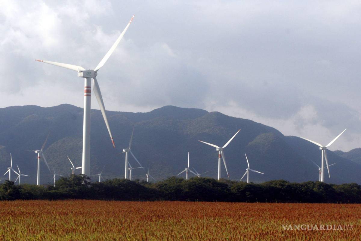 Aceptó 4T la apertura energética con T-MEC, afirman especialistas