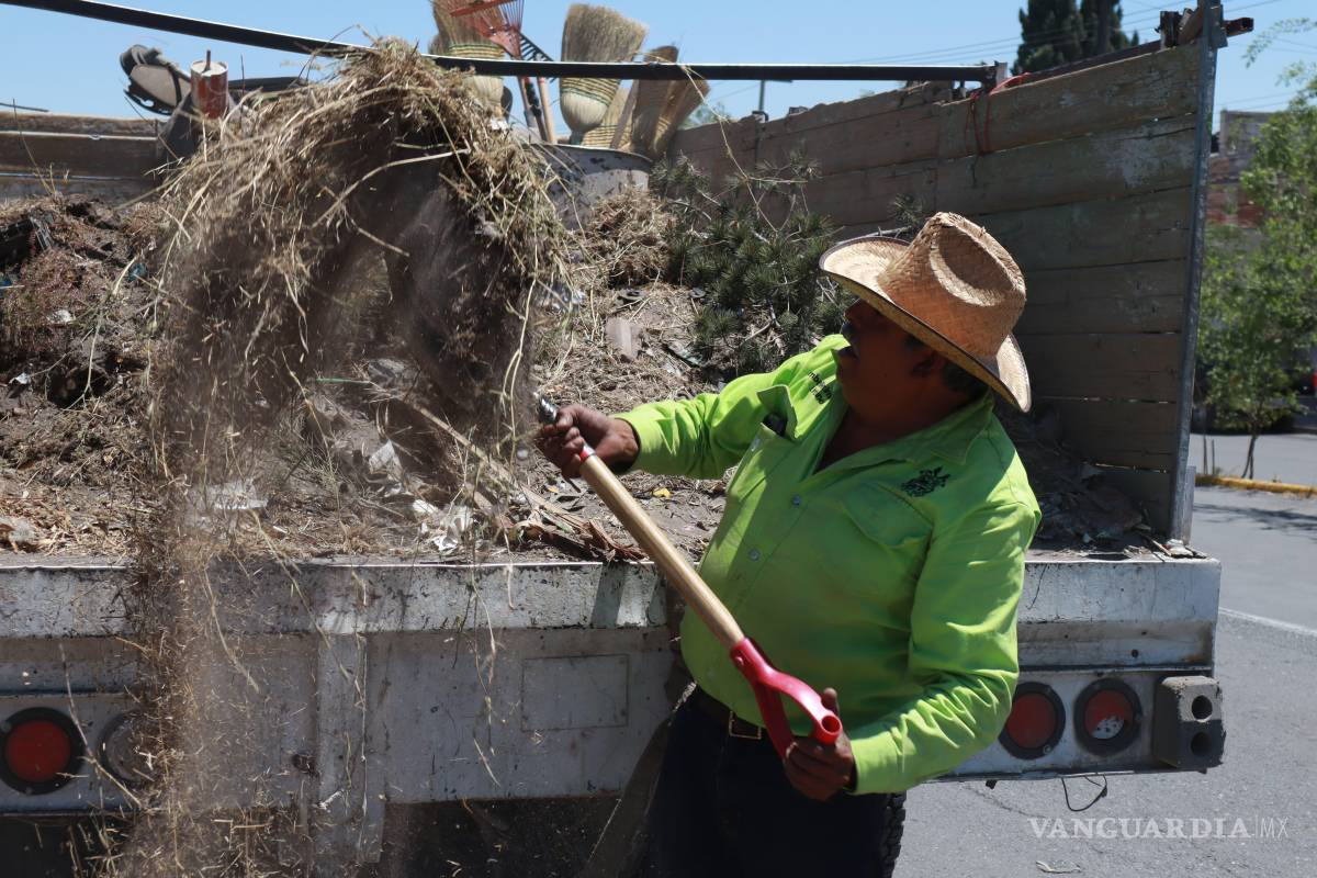 $!Acciones de papeleo, recolección de basura y deshierbe se llevan a cabo en las principales vialidades de la ciudad.