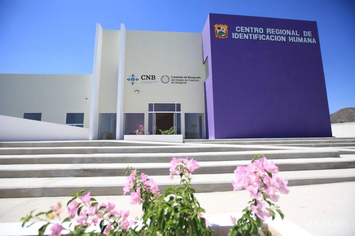 Mujer vio un cráneo que sobresalía en el patio de su casa; eran restos humanos