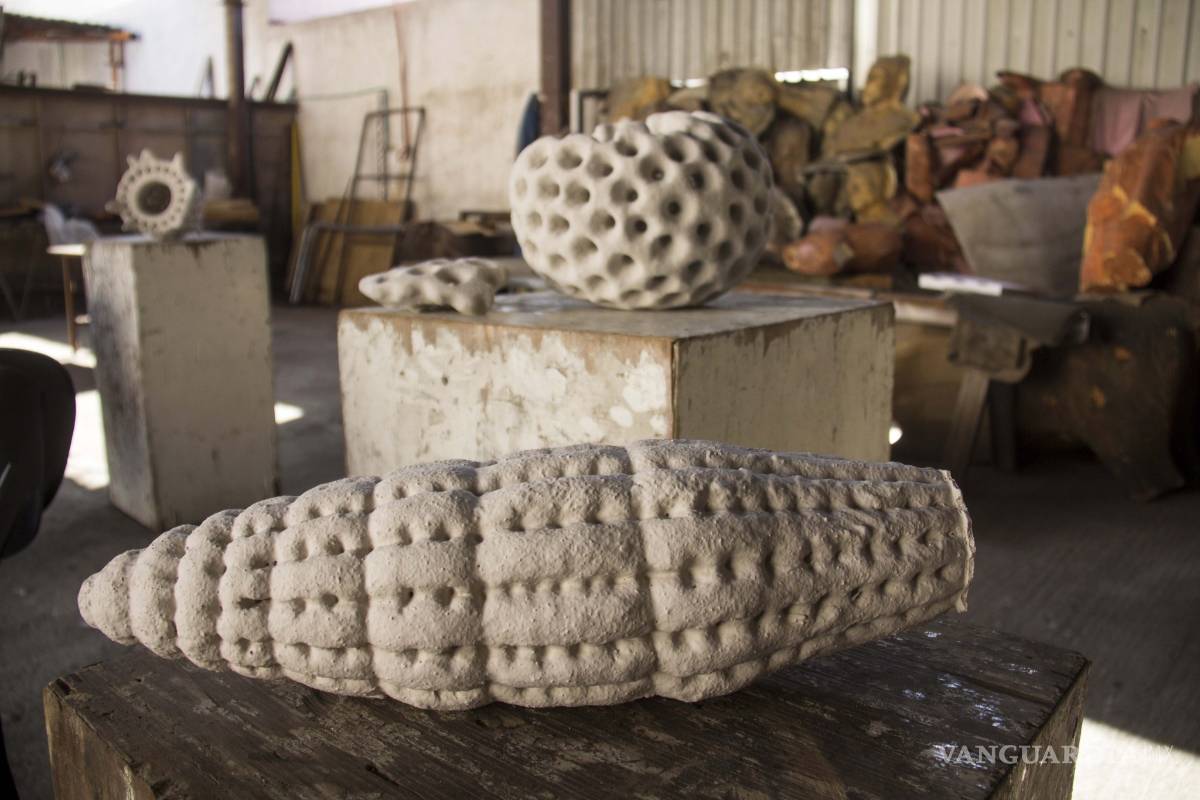 $!'Extinción continua', una exploración del flujo de la creación-destrucción