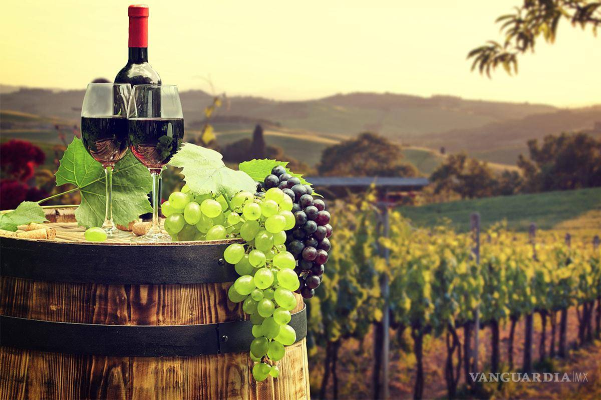 Aumenta Coahuila 11% la producción de vino