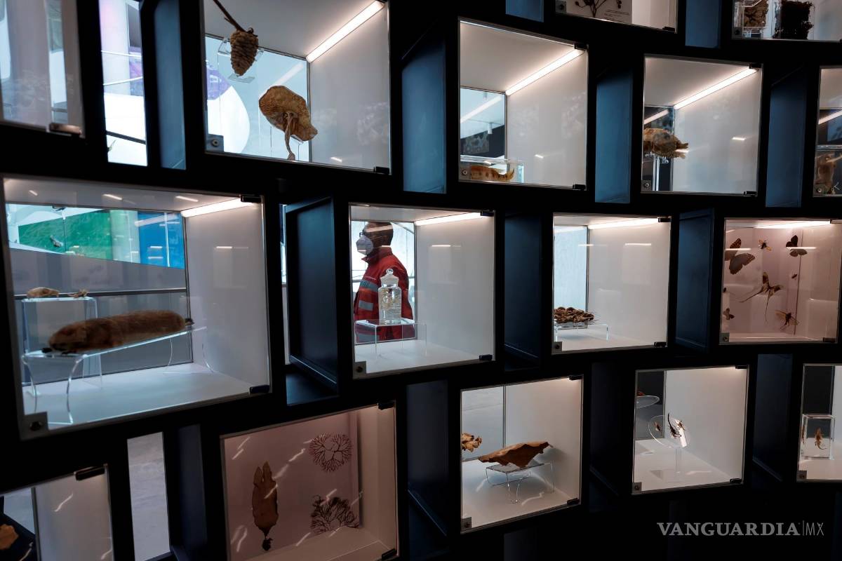 UNAM inaugura su Pabellón de la Biodiversidad con el apoyo de la Fundación Slim