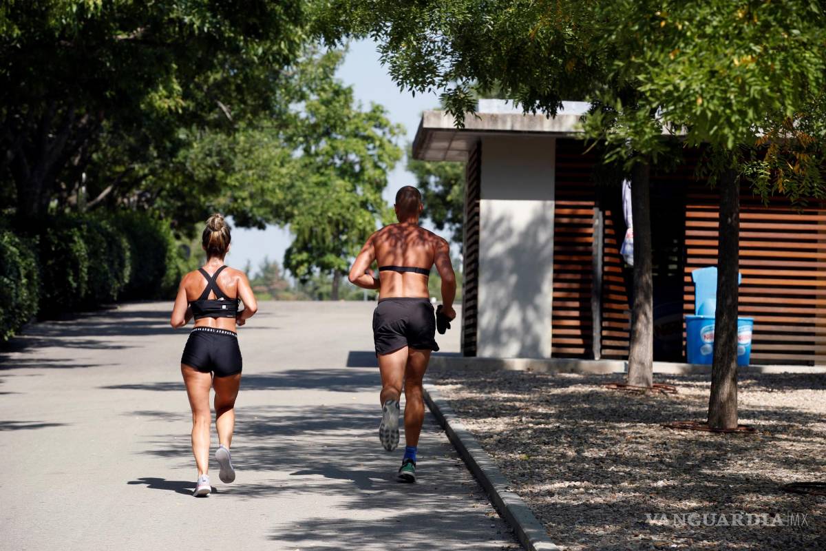 $!Prevenir la enfermedad del hígado graso pasa por adoptar unos buenos hábitos de vida. EFE/Javier Lizón
