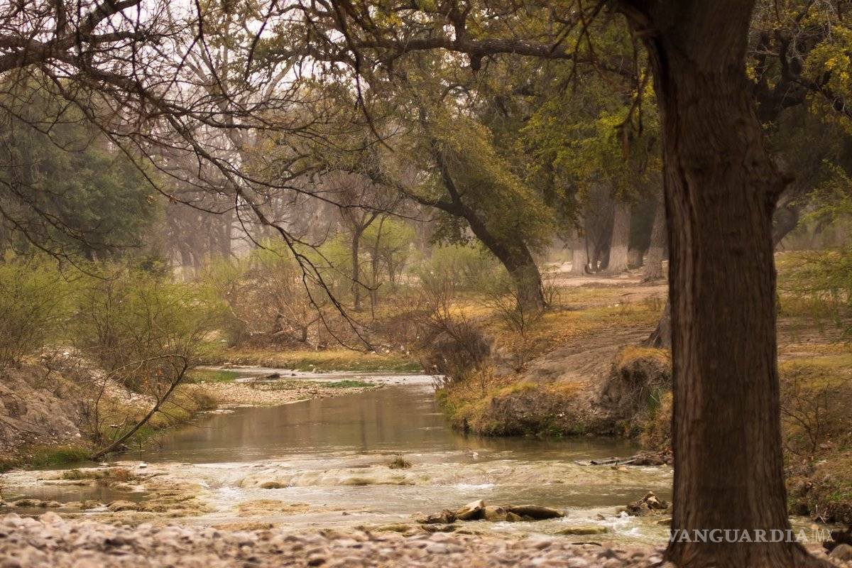 Solicitaran a la Federación los derechos del parque nacional Los Novillos de Acuña