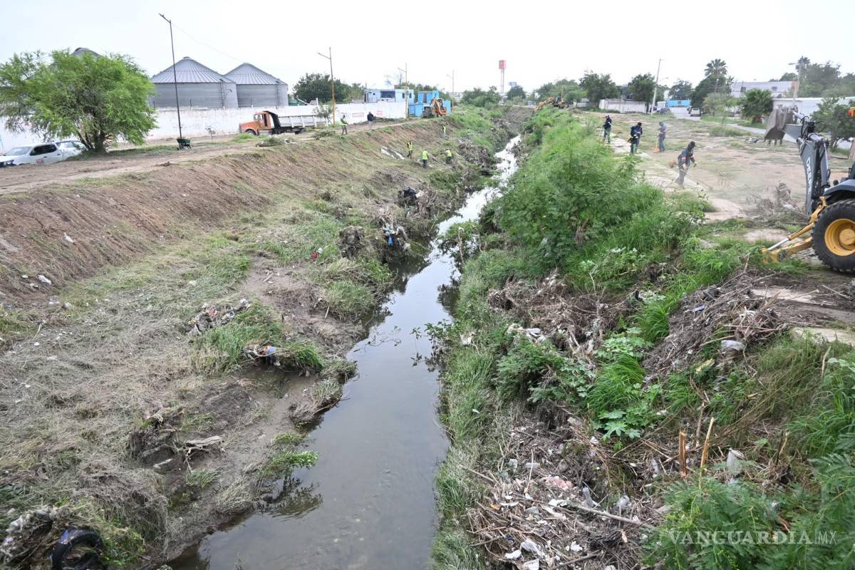 $!La limpieza del arroyo permite mejorar el flujo del agua durante las precipitaciones.