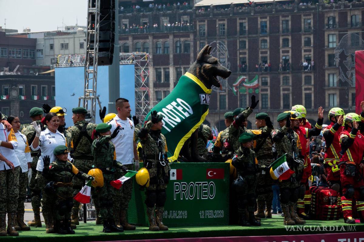 Ejército mexicano rinde homenaje a Proteo, perro rescatista fallecido en Turquía