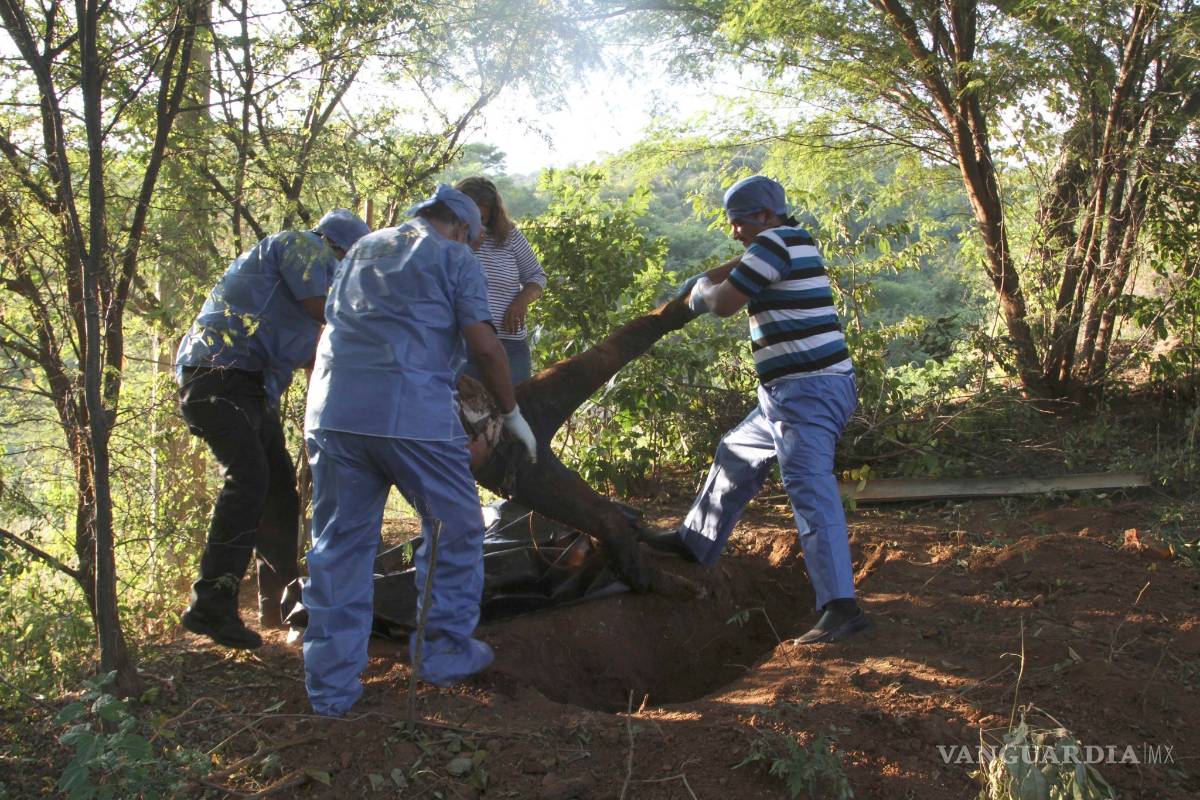 Han registrado mil 143 fosas clandestinas en 9 años : CNDH