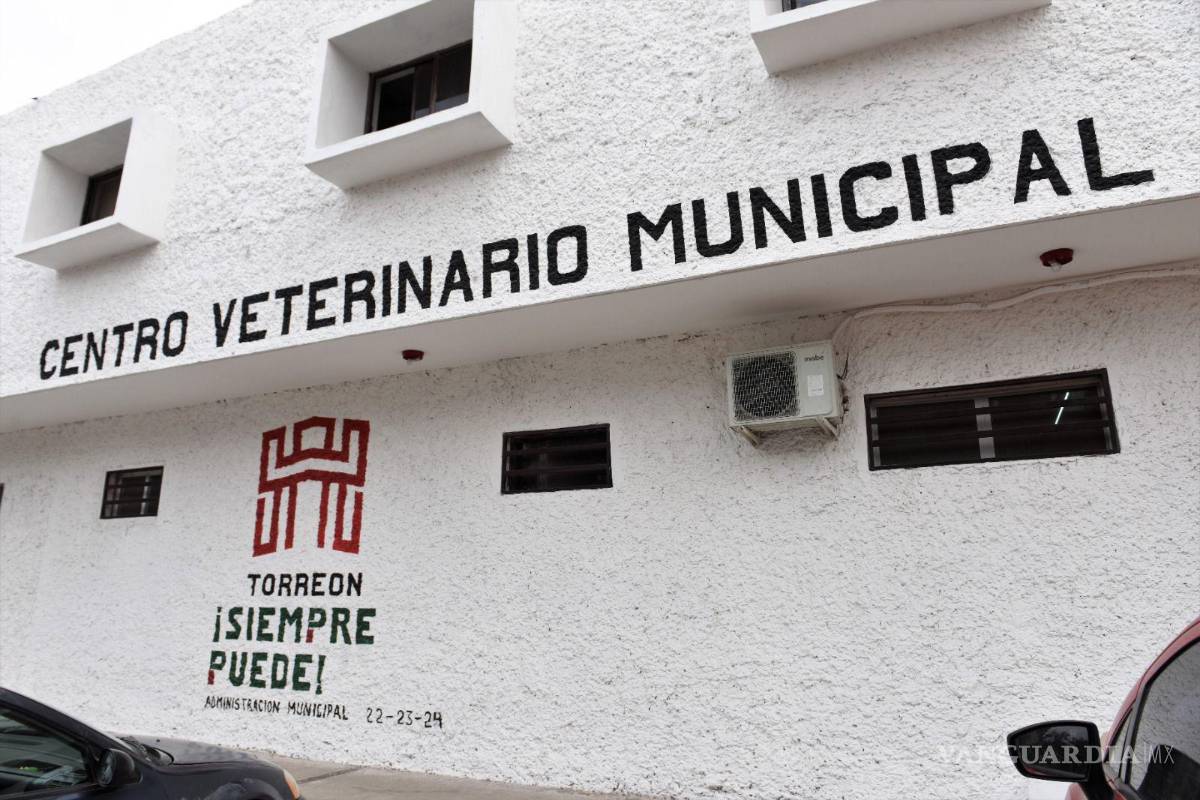 Salud Municipal ofrece servicios veterinarios a precios accesibles a las mascotas de Torreón