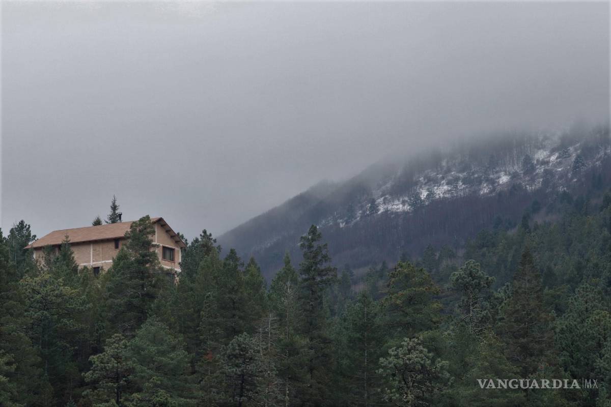 Proyecto de 7 mil viviendas y estadio en sierra de Arteaga es insostenible y dañino para medio ambiente, sentencia urbanista