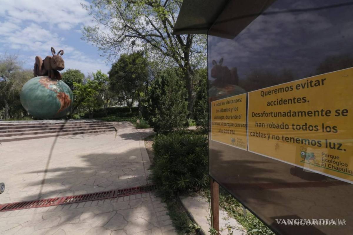 Saltillo: A ‘Alicia’ no se la robaron; está bajo resguardo del Gobierno de Coahuila