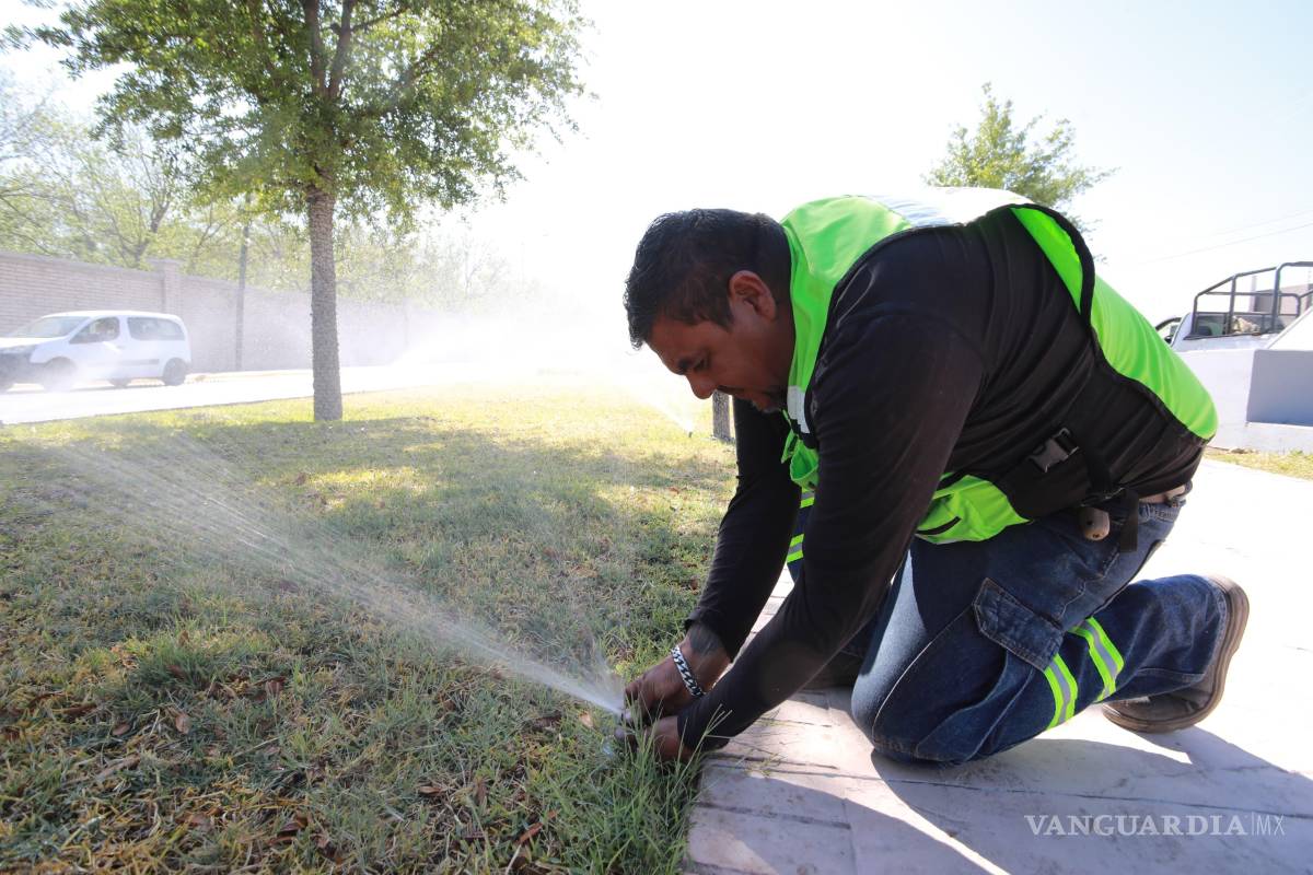 $!Labores de rehabilitación del sistema de riego en las áreas verdes del bulevar Los Valdez.
