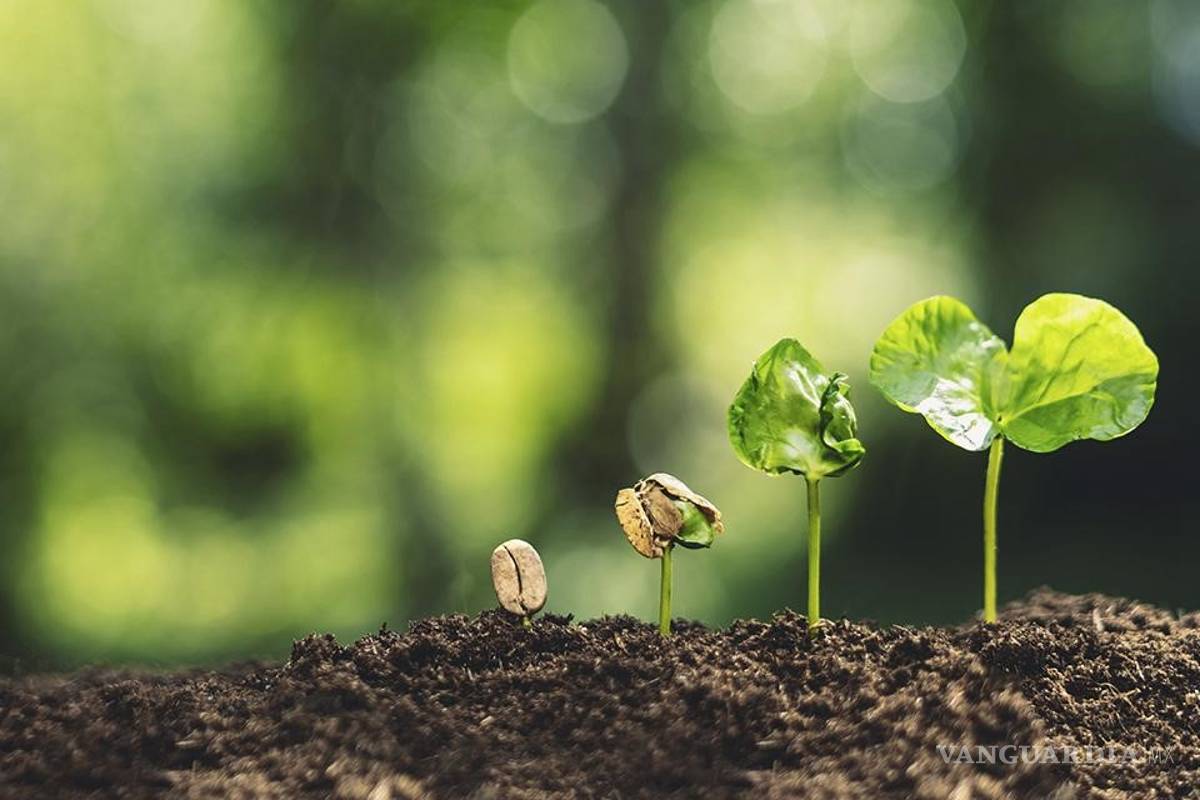 La violencia no resuelve los problemas ambientales: Directora de Medio Ambiente del Colef