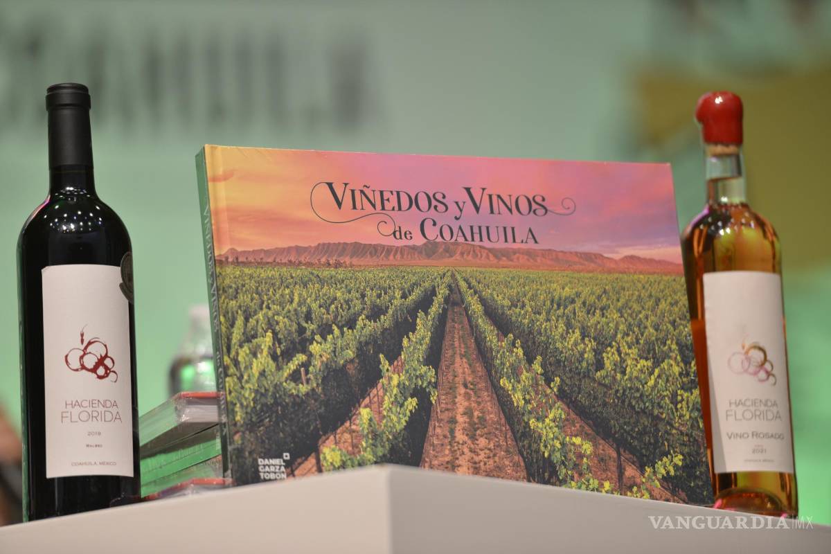 $!Daniel Garza Tobón retrata la belleza de los vinos y viñedos de Coahuila