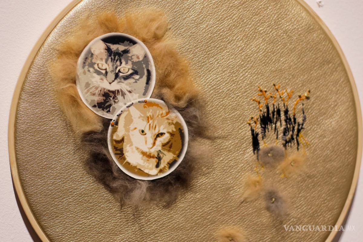 $!Exponen las acumulaciones de recuerdos en 'Objeto Animal'