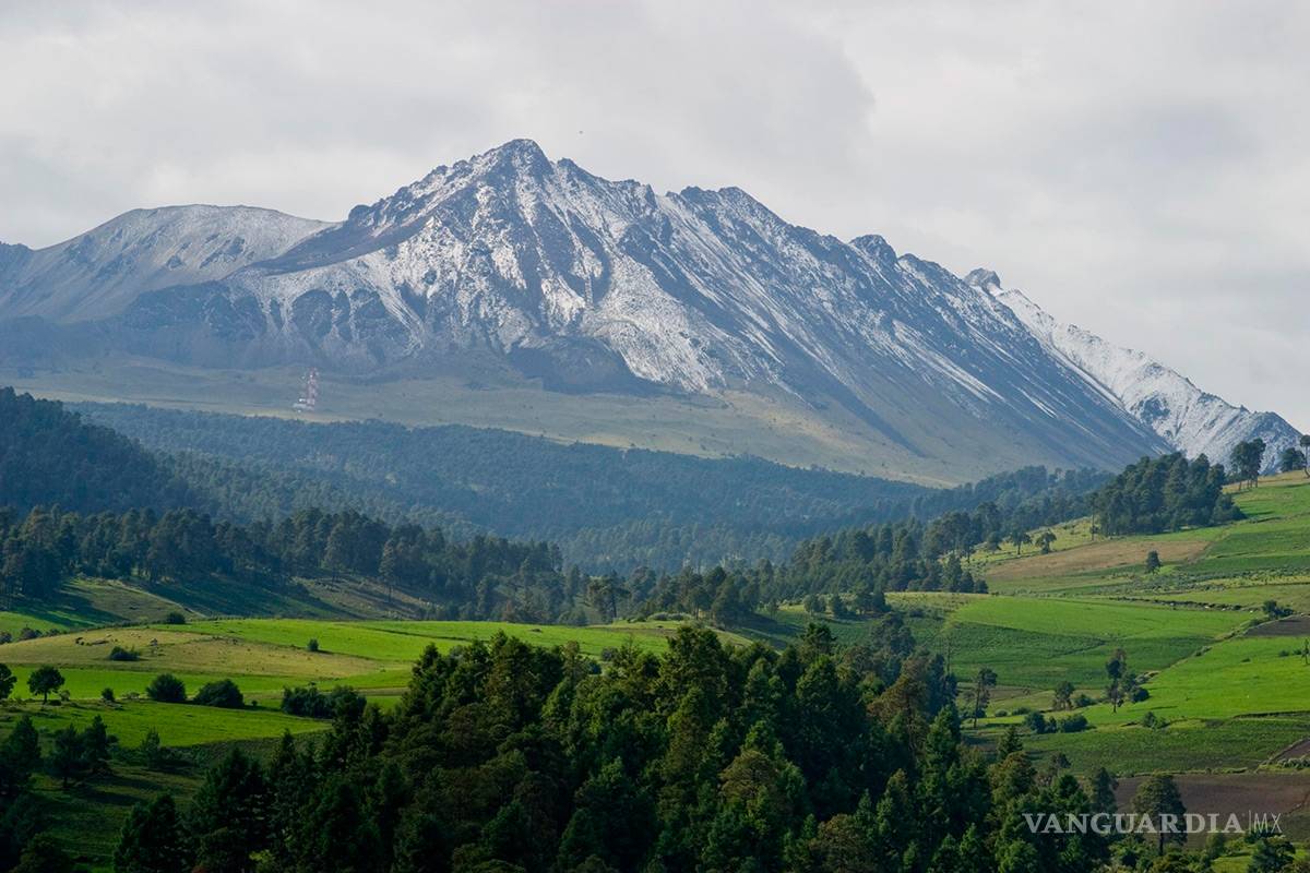 $!Semarnat aprueba la tala comercial de un tercio del bosque del Nevado de Toluca