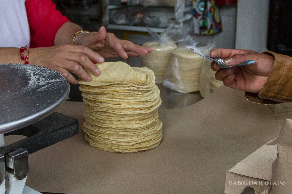 Aumento a la tortilla debe ser sólo de cinco centavos, dice Profeco a tortillerías de Saltillo