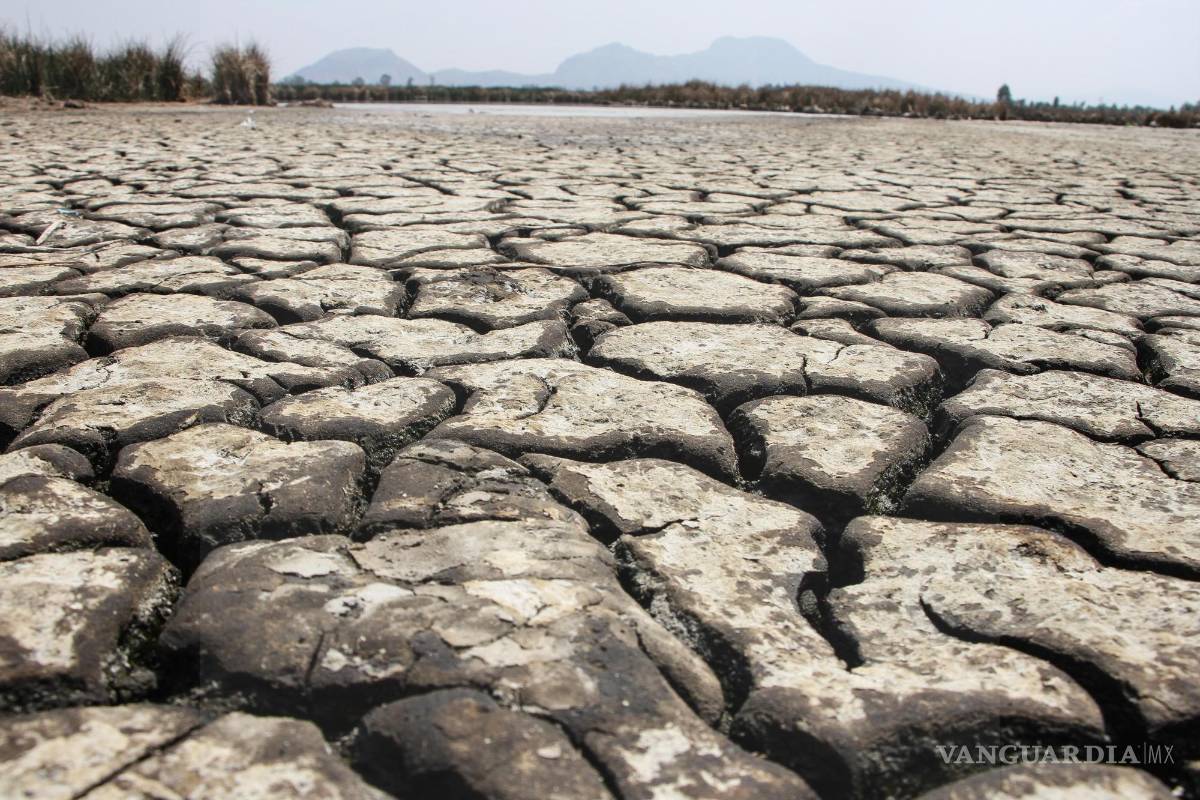 En sequía 87.7% del territorio de Coahuila al cierre del 2022, reveló el Servicio Meteorológico Nacional