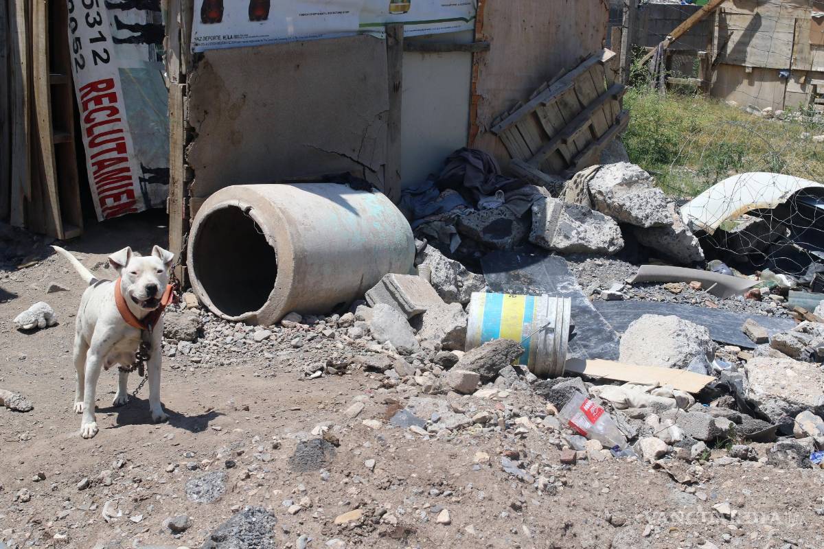$!'Paracaidistas' se disputan a golpes predio de Saltillo; se movilizaron unidades de la Policía Municipal