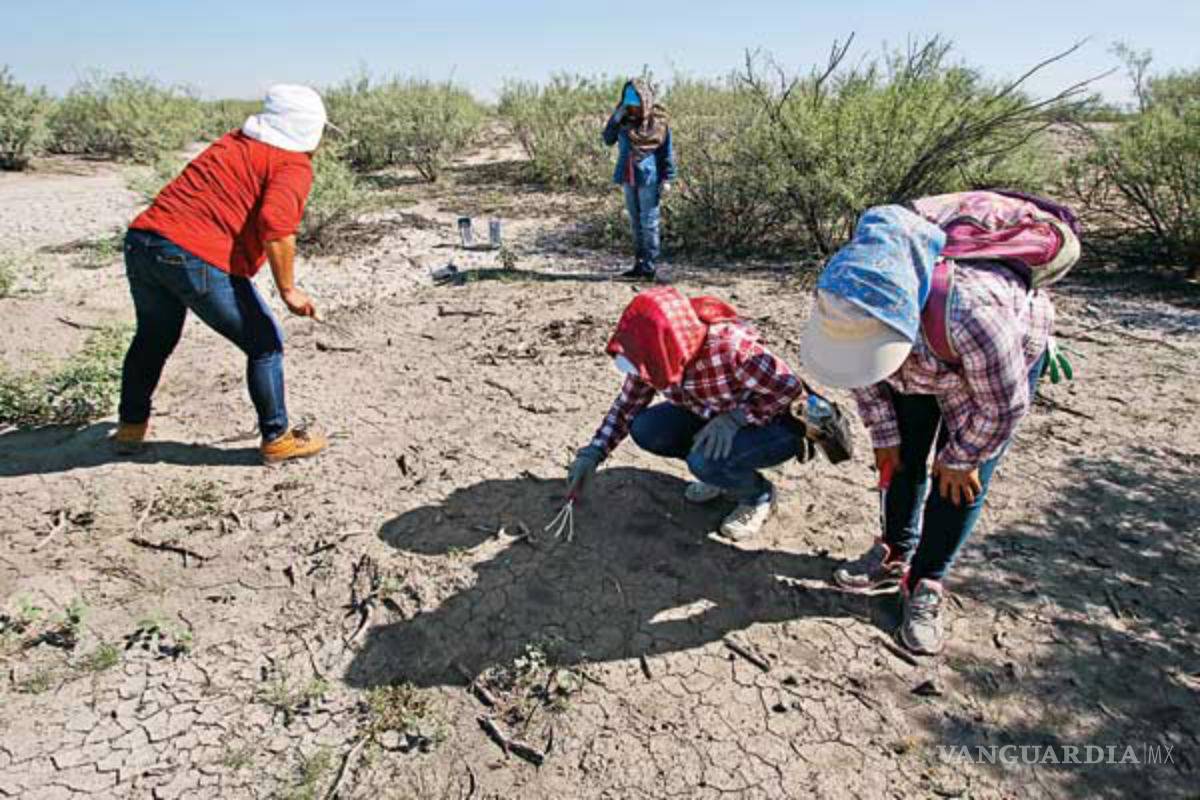 Suman 100 mil restos óseos encontrados en Coahuila