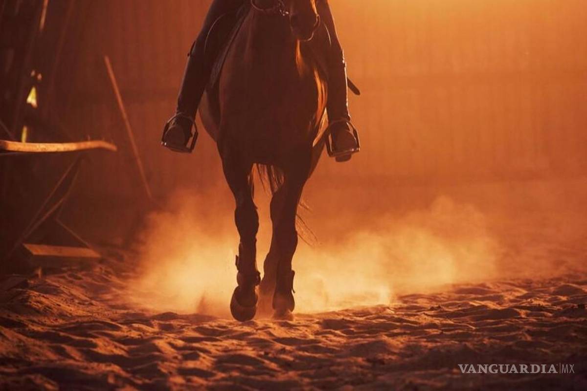 El coronel Baldomero, hijo de un magonista